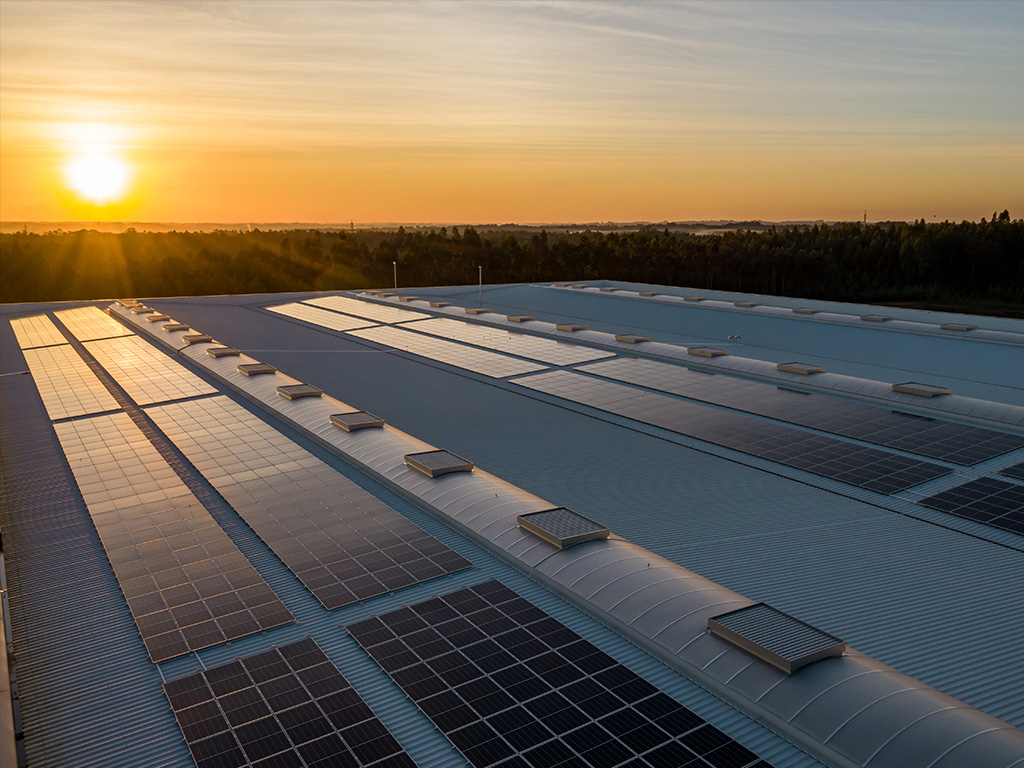 Energy and Solar Sector